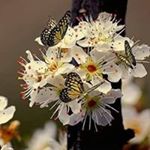 Profile Picture of Nancy Marker (@nancy.marker.31) on Instagram