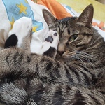 Profile Picture of Kevin Nivek (@kevin.nivek) on Flickr