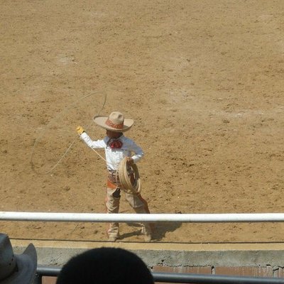 Profile Picture of Jacob Long (@jaaacup) on Twitter