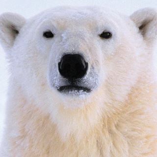 Profile Picture of Laremm Amena (@gamewatch1) on Facebook