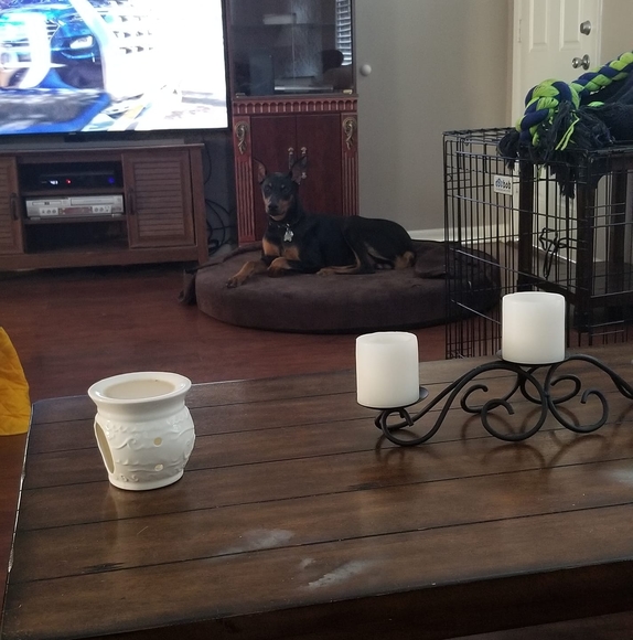 Profile Picture of Debbie Barrett boyd (@chunkiebear) on Poshmark