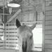 Profile Picture of Keith Burdick (@keith.burdick.9) on Facebook