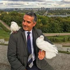 Profile Picture of Andrew Celik (@andrew.celik) on Tiktok