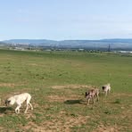 Tenha Aliyevi - Facebook Profile Picture of Tenha Aliyevi (@tenha.aliyevi) on Facebook