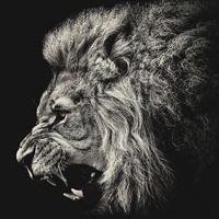 Profile Picture of Steve Medrano (@steve-medrano) on Quora