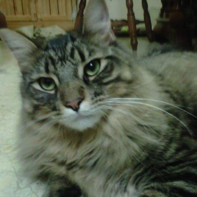 Profile Picture of Darren Ball (@darren_ball69) on Twitter