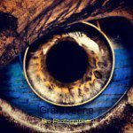 Profile Picture of Grant Beene (@your_go_to_photographer) on Instagram