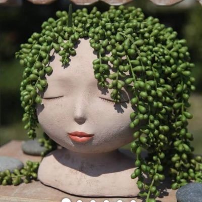 Profile Picture of Joy Abbott (@JoyAbbo34380136) on Twitter