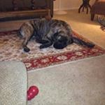Profile Picture of shirleyrenfro42 (@shirleyrenfro42) on Instagram