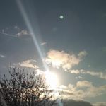 Profile Picture of Bobbi Myers (@rblevinscm) on Instagram
