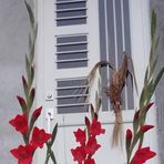 Profile Picture of Pedro Ascencio (@Pedro-Ascencio) on Facebook