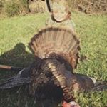 Profile Picture of Chad Wiseman (@wiseman_chad) on Instagram