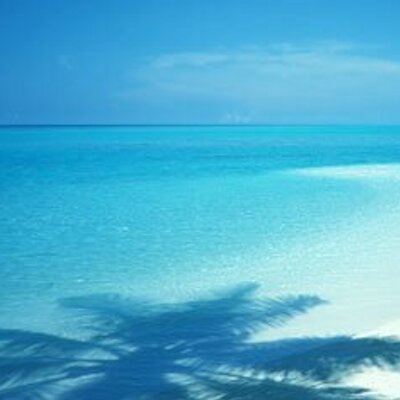 Profile Picture of HARIS YUSUF N (@HarisyusufN) on Twitter