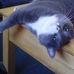 Profile Picture of Jennifer Stuart (@jennifer.stuart.507027) on Facebook