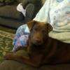 Profile Picture of haroldwiggins966 (@@haroldwiggins966) on Tiktok