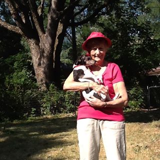 Profile Picture of Rita Pollock (@rita.pollock.37) on Facebook