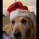 Profile Picture of Ben Witten (@ben.witten) on Instagram