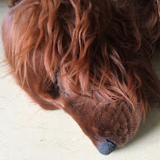 Profile Picture of Ching Leung (@chingleung3704) on Youtube