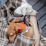 Profile Picture of 𝒥𝑜𝓎𝒶 08/18  𝒮𝑜𝓁09/19 (@joy_and_sol) on Instagram
