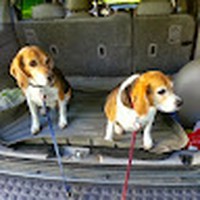 Profile Picture of Robert Sayer (@robert-sayer-14) on Quora