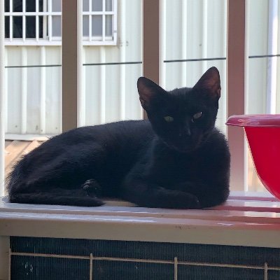 Profile Picture of Yu Ting Tseng (@YuTingTseng10) on Twitter