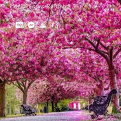 Profile Picture of Maria Laura Reising (@marialaurareising114) on Youtube