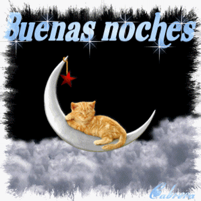 Profile Picture of Yolanda Quevedo (@yolaqueved) on Twitter