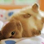 Profile Picture of Steven Mikus (@steven.mikus.90) on Instagram