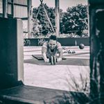 Dominique Jongman - Instagram Profile Picture of Dominique Jongman (@doootje86) on Instagram