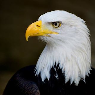Profile Picture of Jerome Gerber (@jerome.gerber.7967) on Facebook