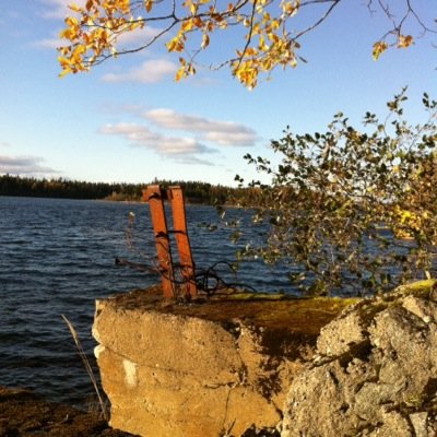 Profile Picture of Lisa Lundmark (@lisa_lundmark) on Twitter