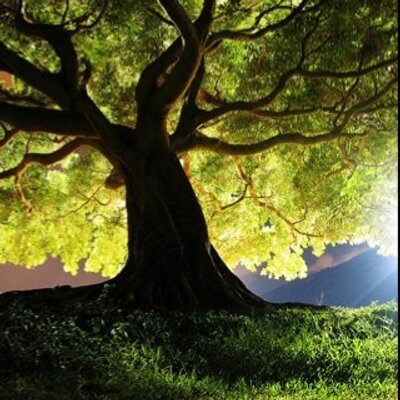 Adam Vanhooser - Twitter Profile Picture of Adam Vanhooser (@VanhooserAdam) on Twitter