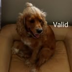 Profile Picture of Aaron Andresen (@aaron.andresen.90) on Facebook