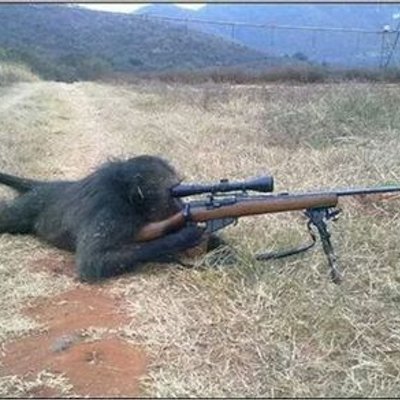 Profile Picture of Le Voyageur (@ConteJeremy) on Twitter