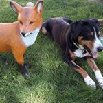 Profile Picture of Ruth Hofer (@hoferruth) on Instagram