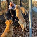 Profile Picture of Kate Vaughan (@k_vaughan) on Instagram