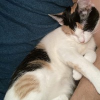 Profile Picture of Robin Smithson (@robin-smithson-1) on Quora