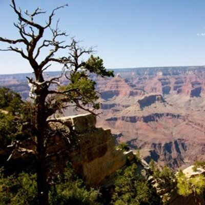 Profile Picture of Kelly Englehart (@kyboilergirl) on Twitter