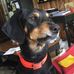 Profile Picture of Teresa Dial (@teresa.dial.7) on Facebook