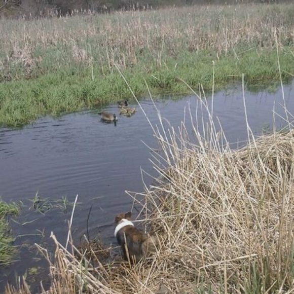 Profile Picture of Goldieanddusty Umansky (@helightsmyfire) on Poshmark