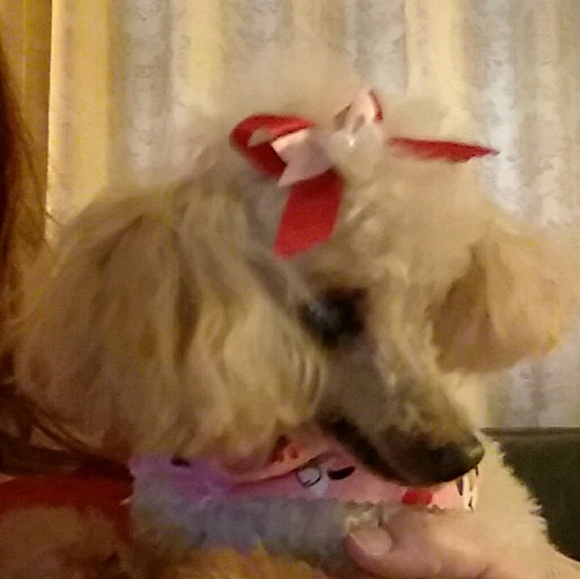 Profile Picture of Robin Yager (@rly1978) on Poshmark