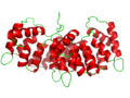 Profile Picture of Annexin - Wikipediaon Wikipedia