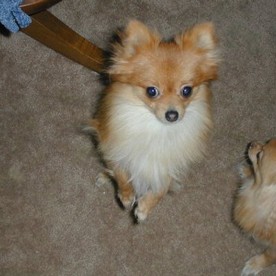 Profile Picture of Jason Hester (@JasonHester) on Twitter