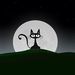 Profile Picture of Lucie Nadeau (@chatte007) on Pinterest