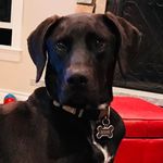 Profile Picture of Elizabeth Gordon Heinzman (@jesheinzman) on Instagram