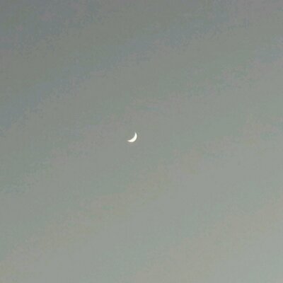 Profile Picture of Julianne (@FancyFoxFilms) on Twitter