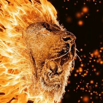 Alexander Gerz - Twitter Profile Picture of Alexander Gerz (@GerzAlexander) on Twitter