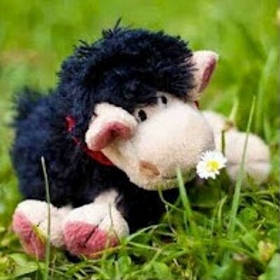 Profile Picture of Tomáš Rosa (@tomas_rosa) on Twitter