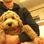 Profile Picture of david (@davidtorchia) on Instagram