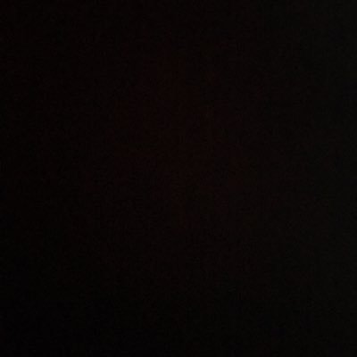 Profile Picture of Madeline Frank (@madelinefrank) on Twitter